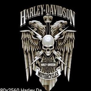 Meet your Posher, Tyke